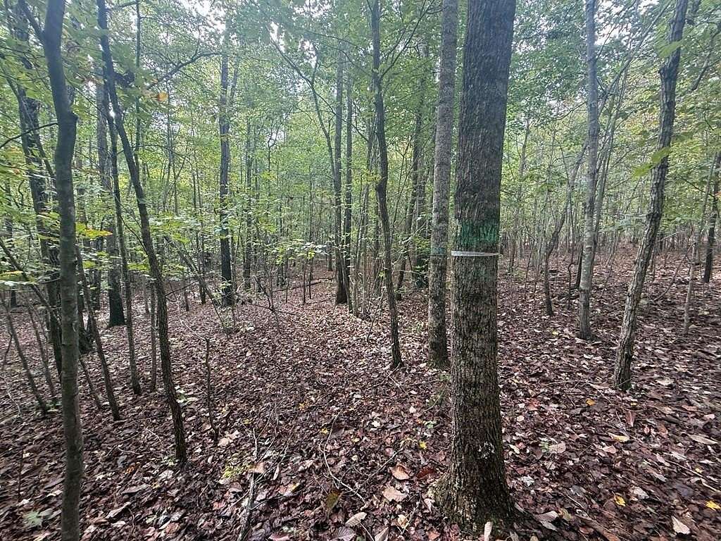 13.5 Acres of Recreational & Residential Land for Sale in Drakes Branch, Virginia