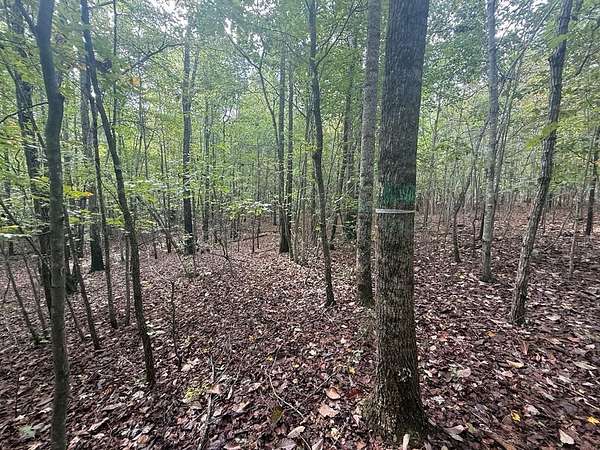 13.5 Acres of Recreational & Residential Land for Sale in Drakes Branch, Virginia
