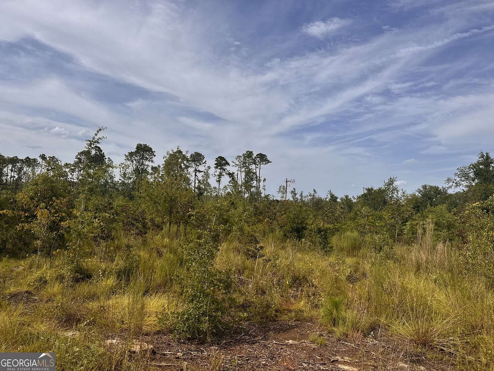1.1 Acres of Residential Land for Sale in Vidalia, Georgia