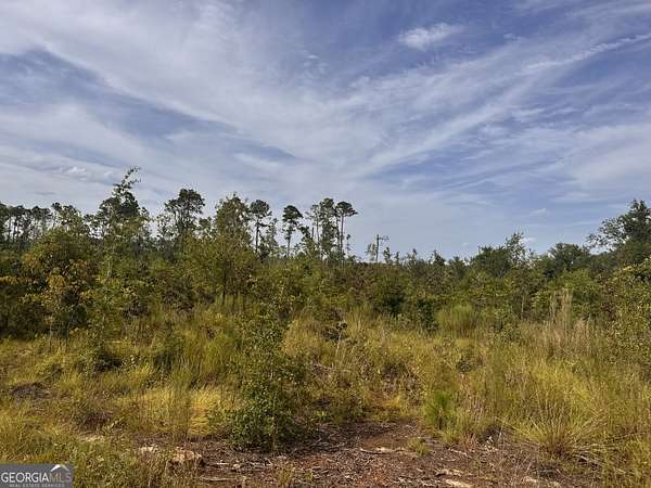 1.1 Acres of Residential Land for Sale in Vidalia, Georgia