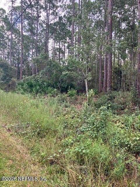 1.14 Acres of Residential Land for Sale in Bunnell, Florida