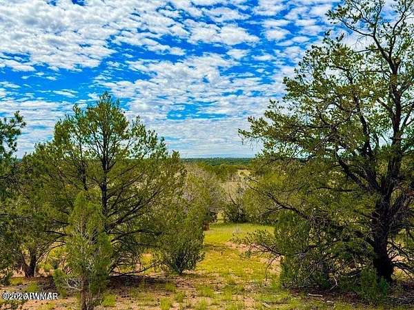 12 Acres of Recreational & Residential Land for Sale in Seligman, Arizona