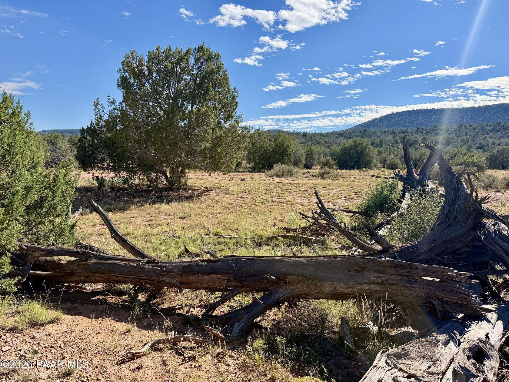 10 Acres of Recreational & Residential Land for Sale in Ash Fork, Arizona