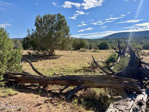 10 Acres of Recreational & Residential Land for Sale in Ash Fork, Arizona