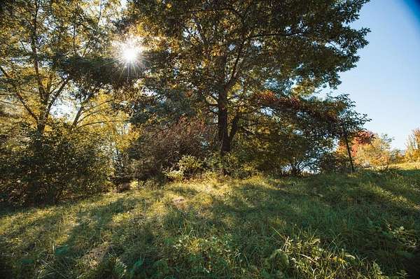0.36 Acres of Residential Land for Sale in Apple River, Illinois