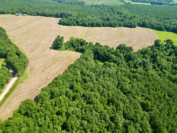 263 Acres of Land for Sale in Banks, Alabama