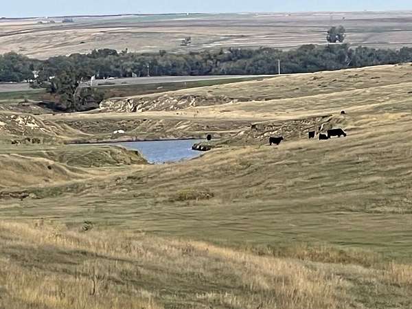 615 Acres of Land for Sale in Oberlin, Kansas