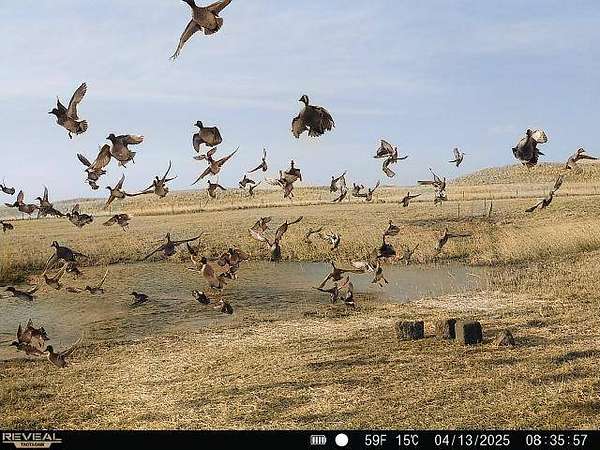 36.6 Acres of Land for Sale in Brewster, Nebraska