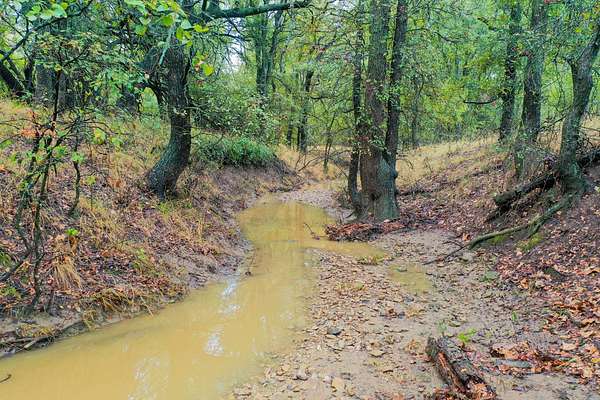 623 Acres of Land for Sale in Carbon, Texas
