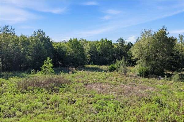11.6 Acres of Land for Sale in Madisonville, Texas