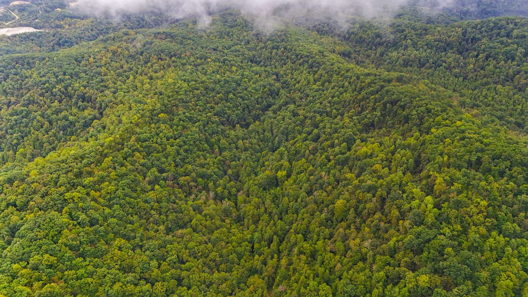99 Acres of Recreational Land for Sale in Stanton, Kentucky