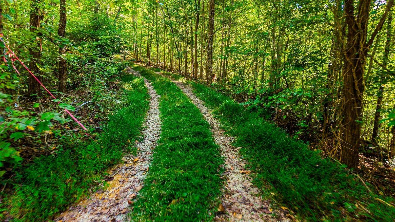 4 Acres of Land for Sale in Sevierville, Tennessee