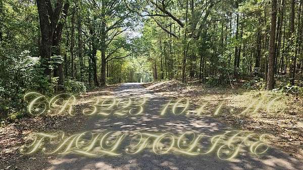 10.2 Acres of Recreational & Residential Land for Sale in Laneville, Texas