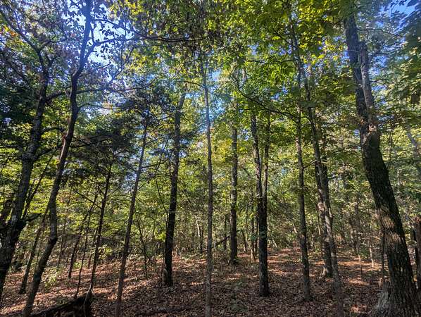 0.41 Acres of Residential Land for Sale in Horseshoe Bend, Arkansas