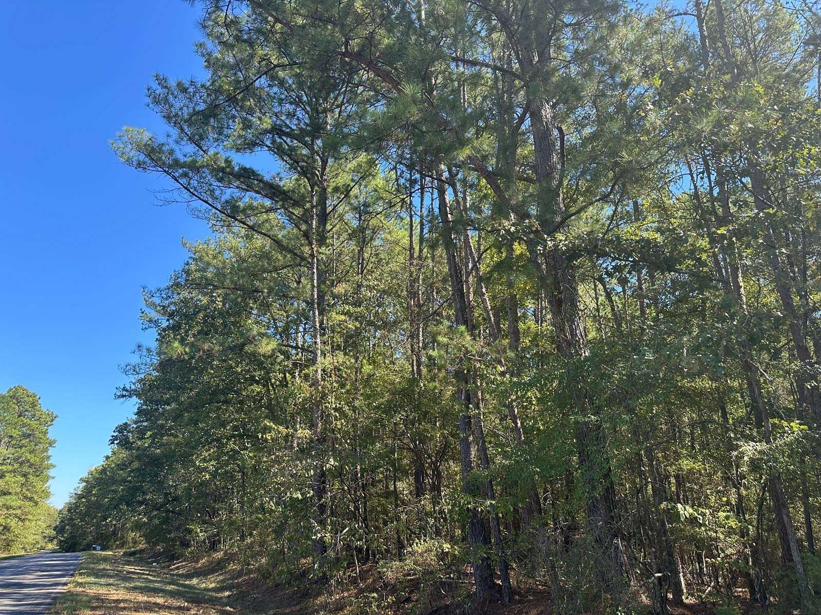 12 Acres of Land for Sale in Canton, Mississippi