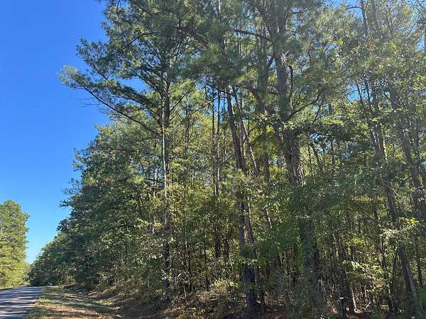 12 Acres of Land for Sale in Canton, Mississippi