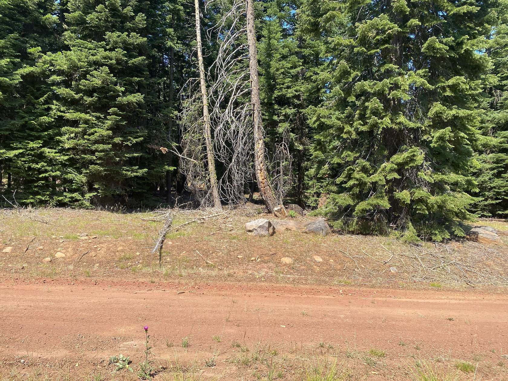 1 Acre of Residential Land for Sale in Alturas, California