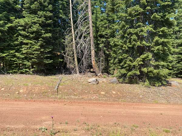 1 Acre of Residential Land for Sale in Alturas, California