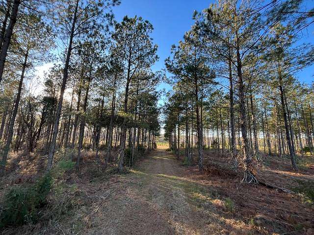 135 Acres of Land for Sale in Saluda, South Carolina