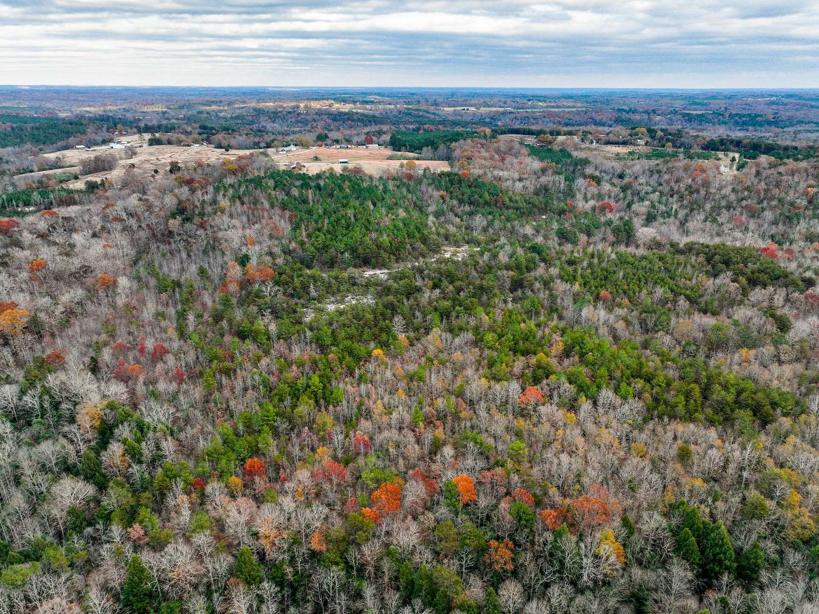 142 Acres of Recreational Land for Sale in Haleyville, Alabama