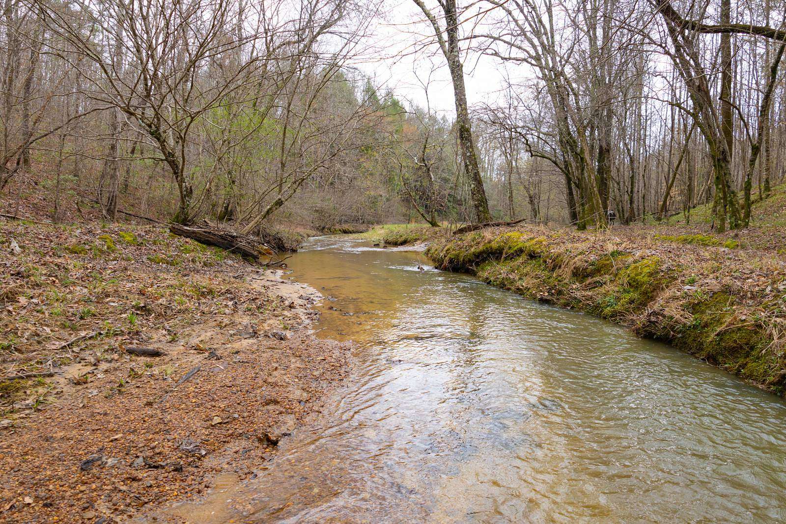 386 Acres of Recreational Land for Sale in Haleyville, Alabama