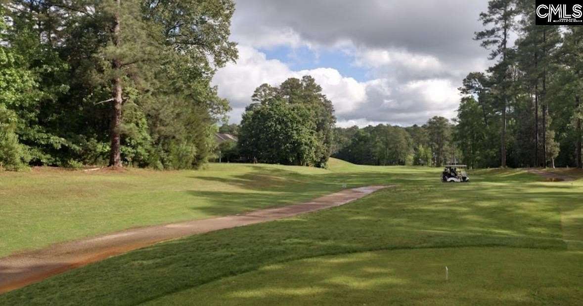 0.29 Acres of Residential Land for Sale in Chapin, South Carolina