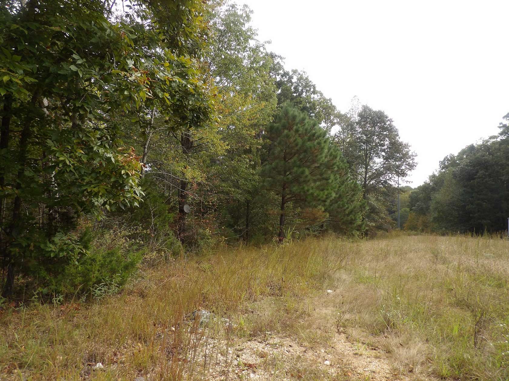 1.72 Acres of Residential Land for Sale in Waverly, Tennessee