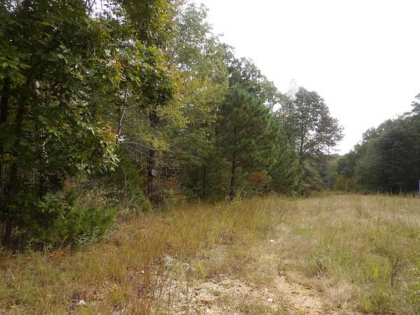 1.72 Acres of Residential Land for Sale in Waverly, Tennessee