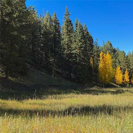 0.72 Acres of Residential Land for Sale in Divide, Colorado