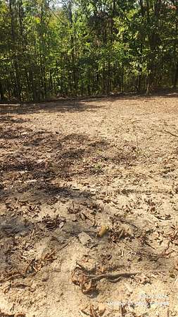 5 Acres of Residential Land for Sale in Gainesboro, Tennessee