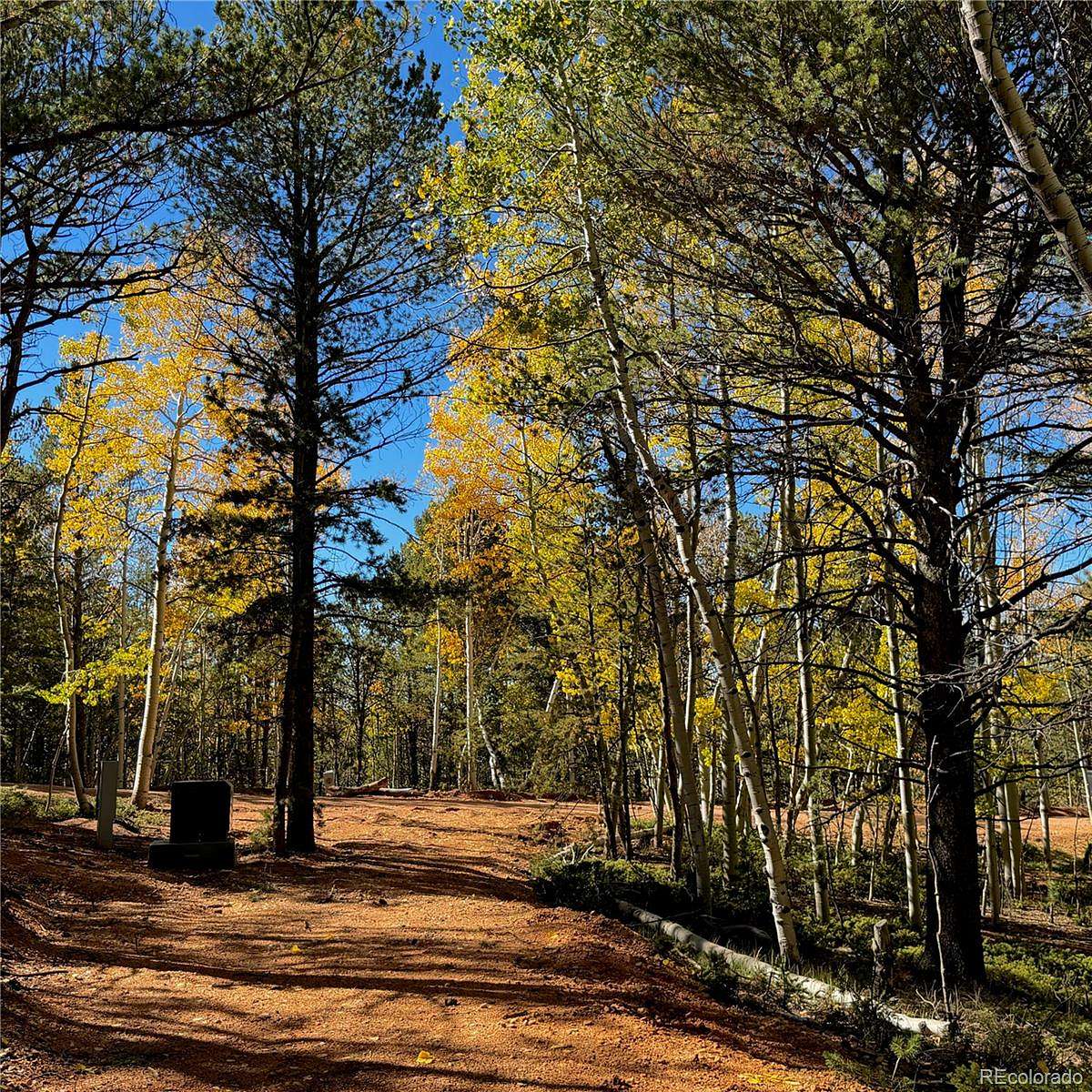 0.71 Acres of Residential Land for Sale in Divide, Colorado