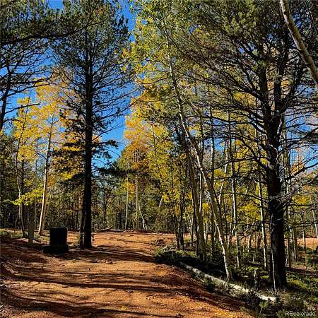 0.71 Acres of Residential Land for Sale in Divide, Colorado