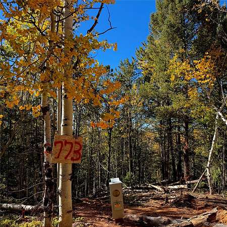 0.5 Acres of Residential Land for Sale in Divide, Colorado