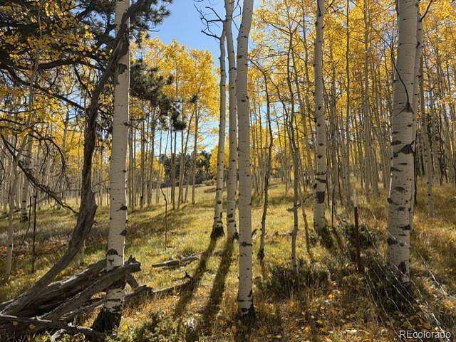 1.2 Acres of Residential Land for Sale in Florissant, Colorado