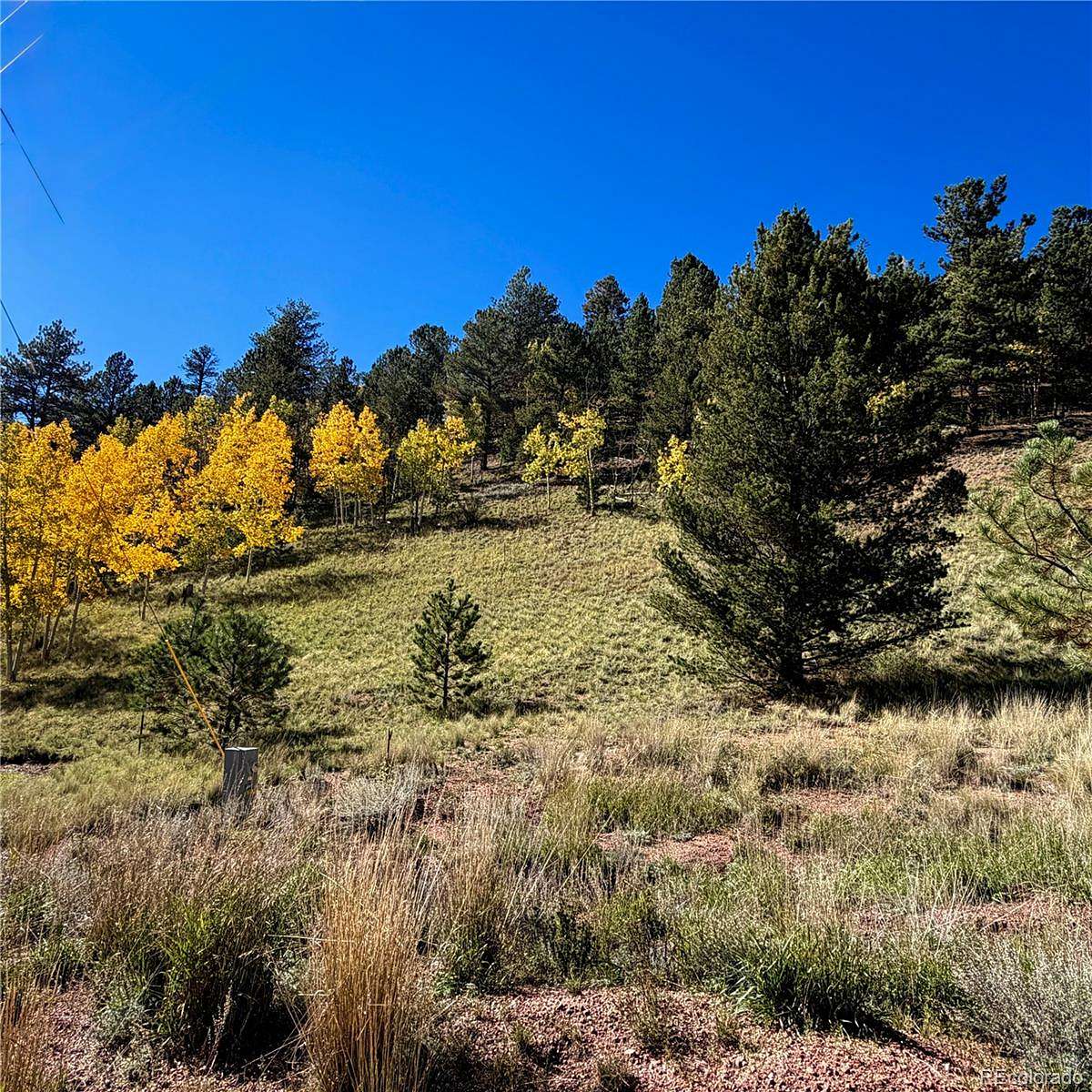 1.1 Acres of Residential Land for Sale in Divide, Colorado