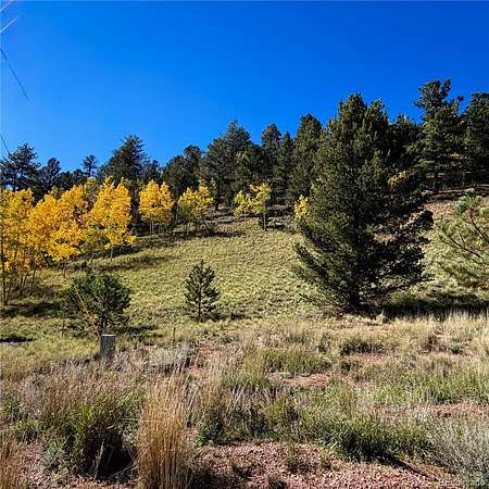 1.1 Acres of Residential Land for Sale in Divide, Colorado
