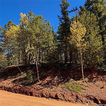 1 Acre of Residential Land for Sale in Divide, Colorado