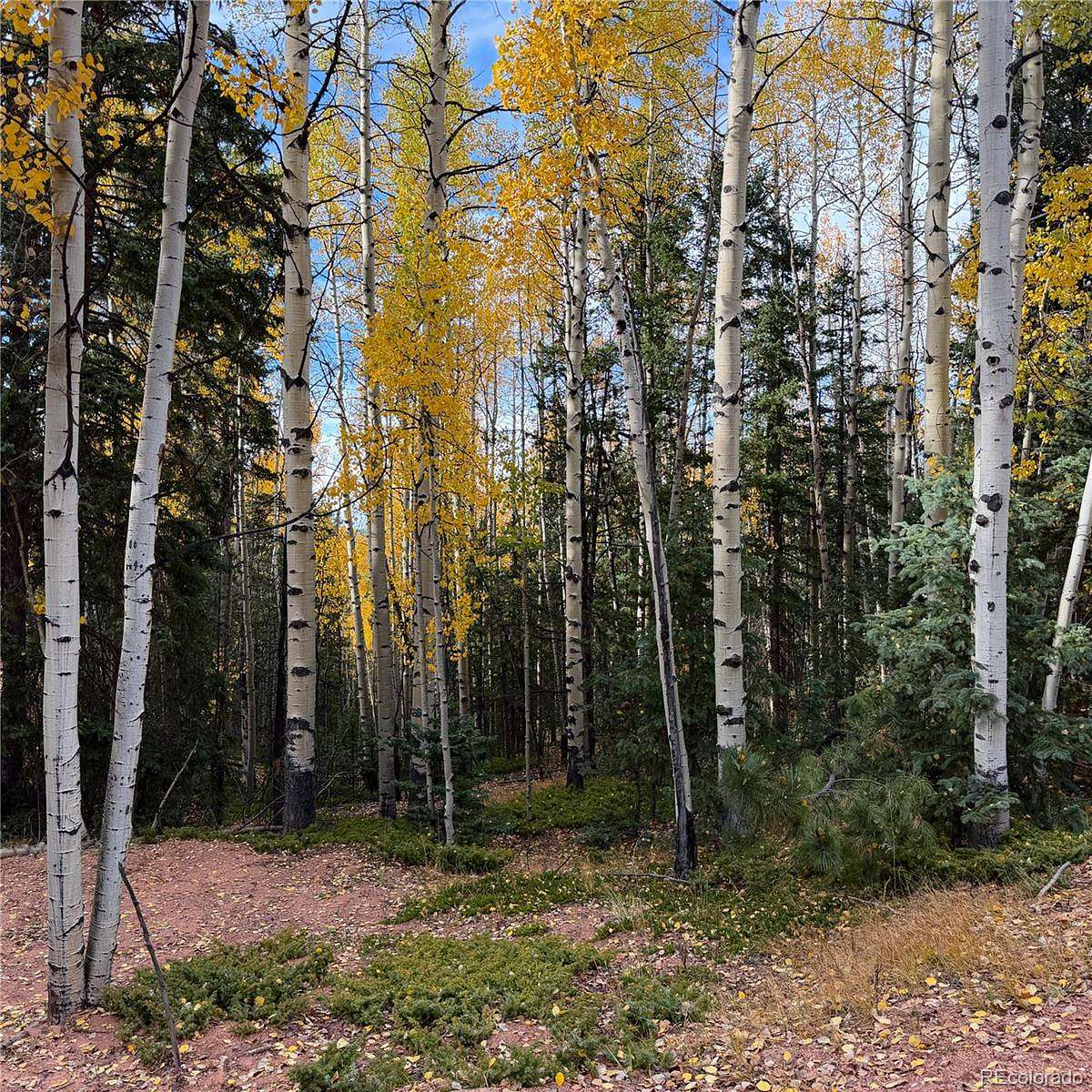1.1 Acres of Residential Land for Sale in Divide, Colorado