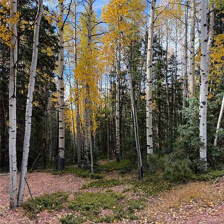 1.1 Acres of Residential Land for Sale in Divide, Colorado