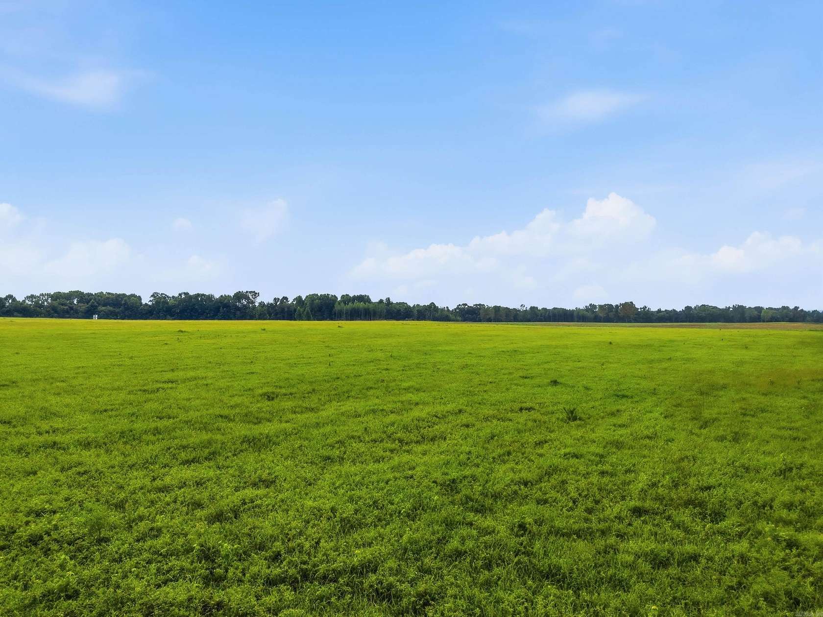 10 Acres of Residential Land for Sale in Center Hill, Arkansas