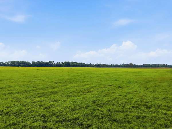 10 Acres of Residential Land for Sale in Center Hill, Arkansas