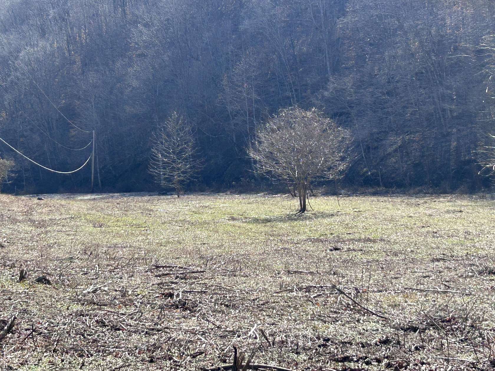 12.4 Acres of Land for Sale in Manchester, Kentucky