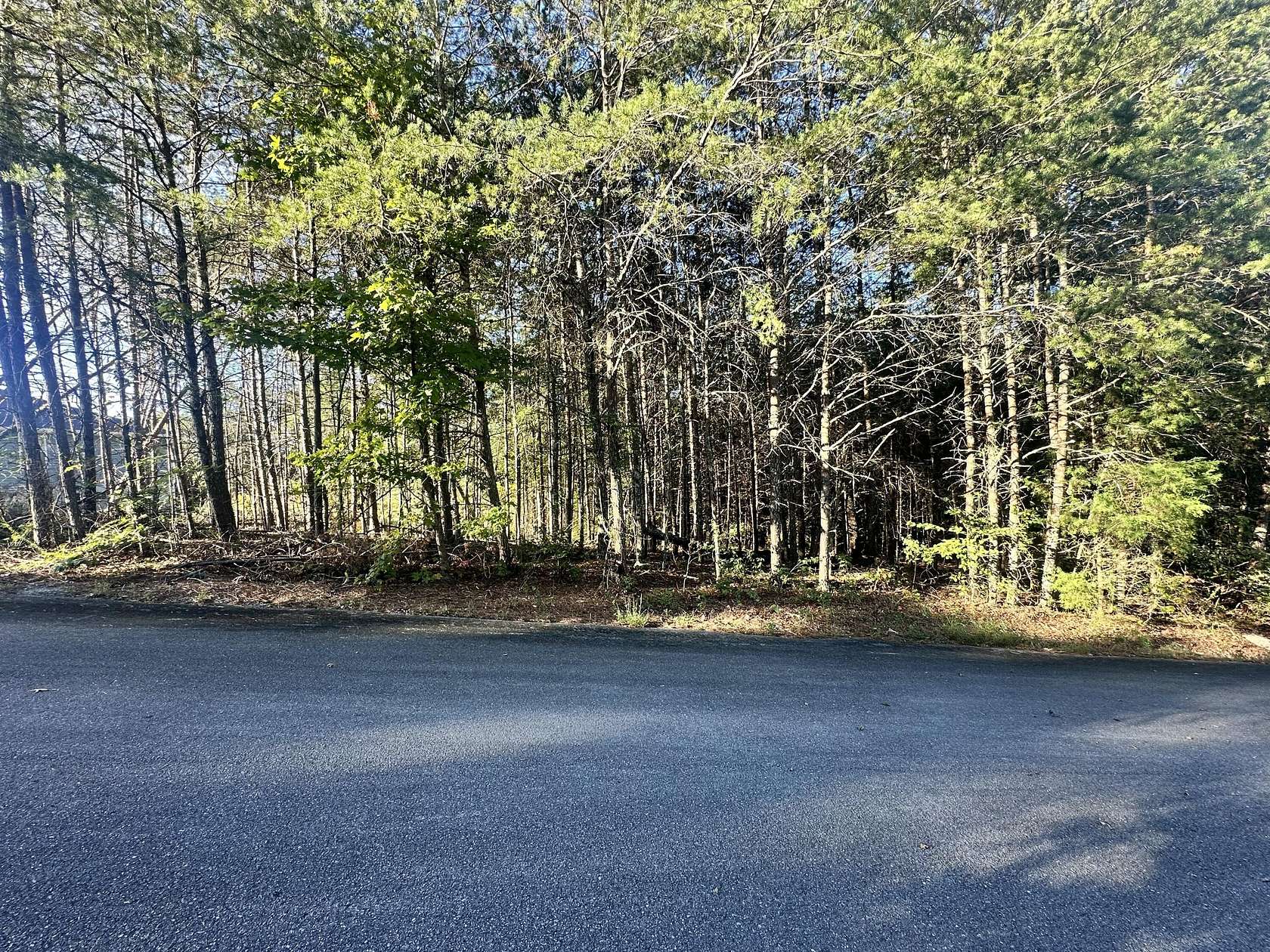 1 Acre of Residential Land for Sale in Dayton, Tennessee