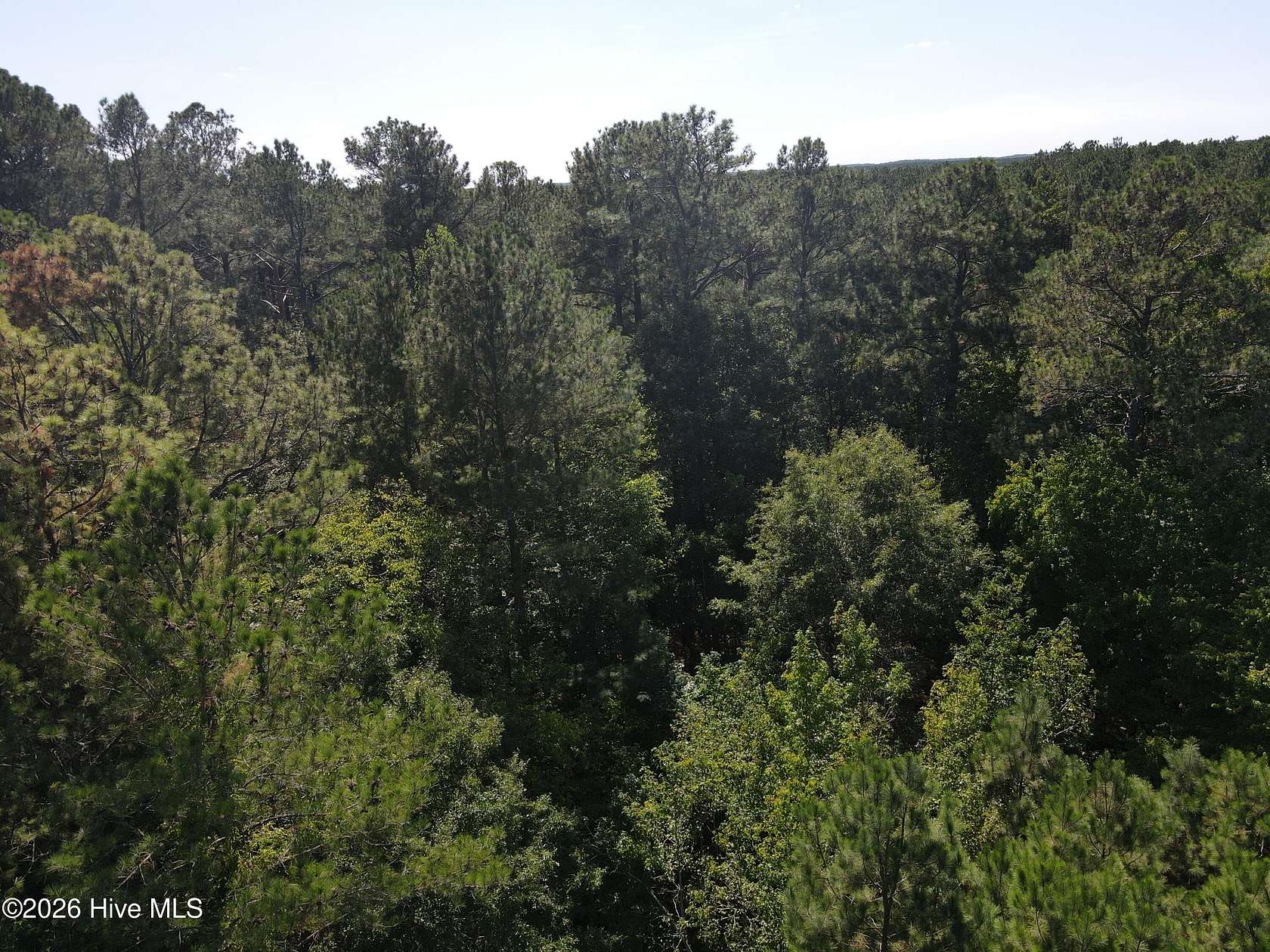 58.6 Acres of Recreational & Residential Land for Sale in Jackson, North Carolina