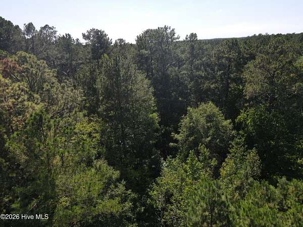 58.6 Acres of Recreational & Residential Land for Sale in Jackson, North Carolina