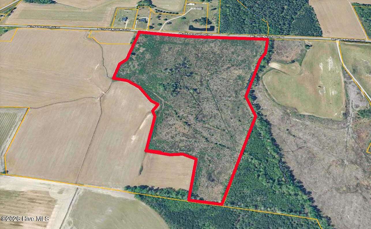 45.3 Acres of Recreational Land for Auction in Tarboro, North Carolina
