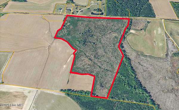 45.3 Acres of Recreational Land for Auction in Tarboro, North Carolina