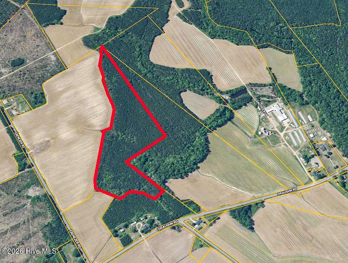 26 Acres of Recreational Land for Auction in Tarboro, North Carolina