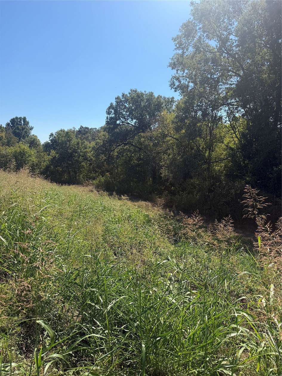 1 Acre of Residential Land for Sale in Blanchard, Louisiana