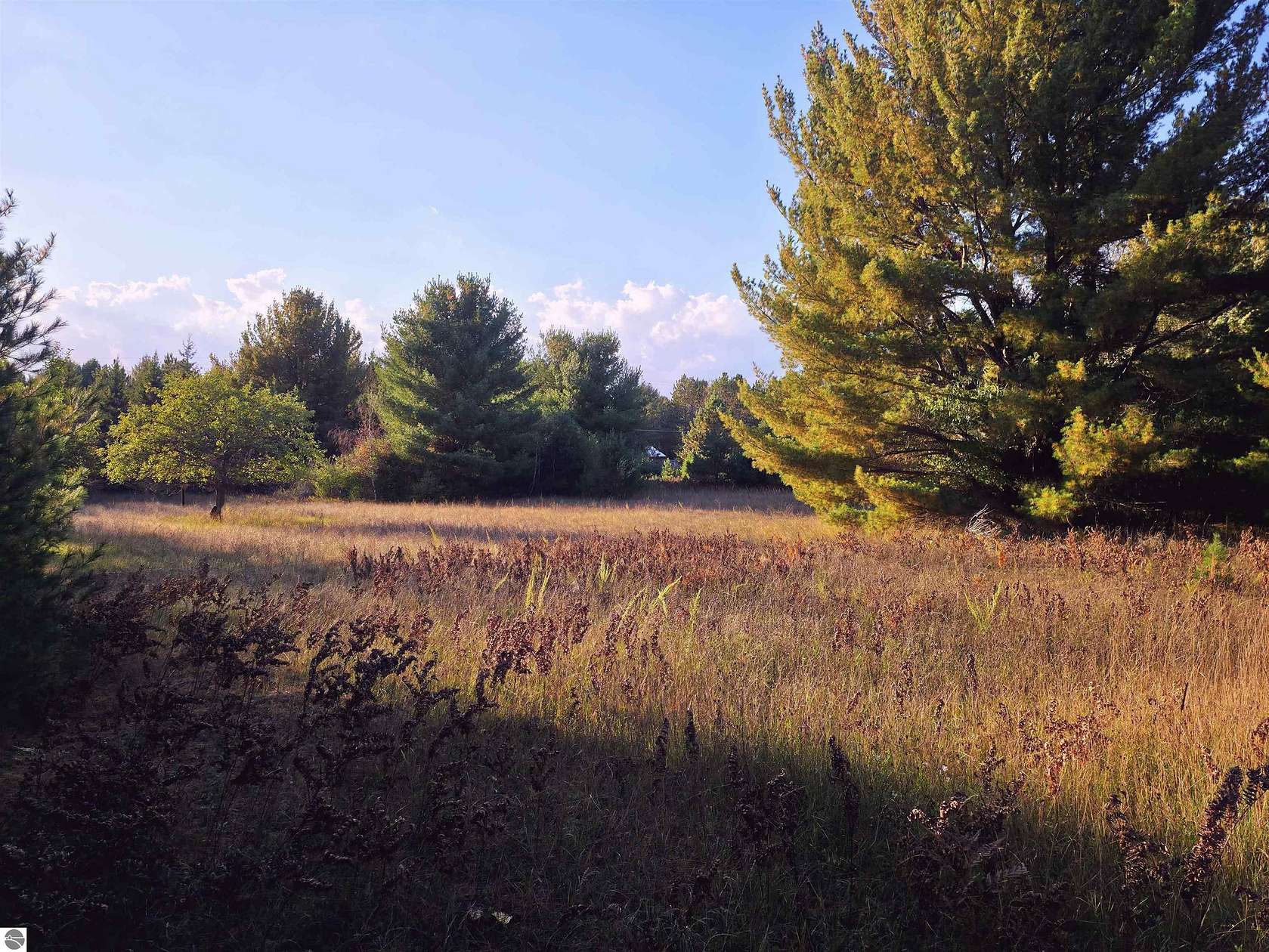 8.24 Acres of Residential Land for Sale in Interlochen, Michigan